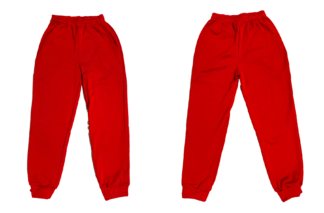 "team switzerland" Trainerhose